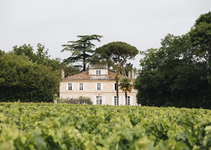 Oda ve Kahvaltı Le Chateau Real Saint-Seurin-de-Cadourne